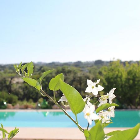 Penzion Trullo Il Melograno Ostuni Exteriér fotografie