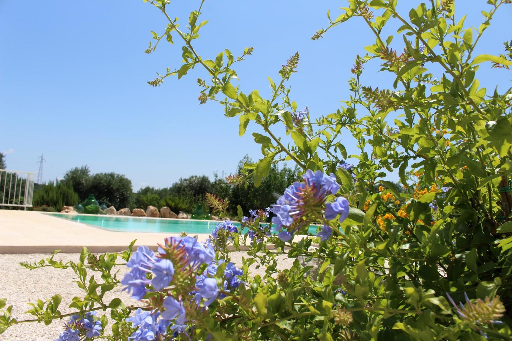 Penzion Trullo Il Melograno Ostuni Exteriér fotografie