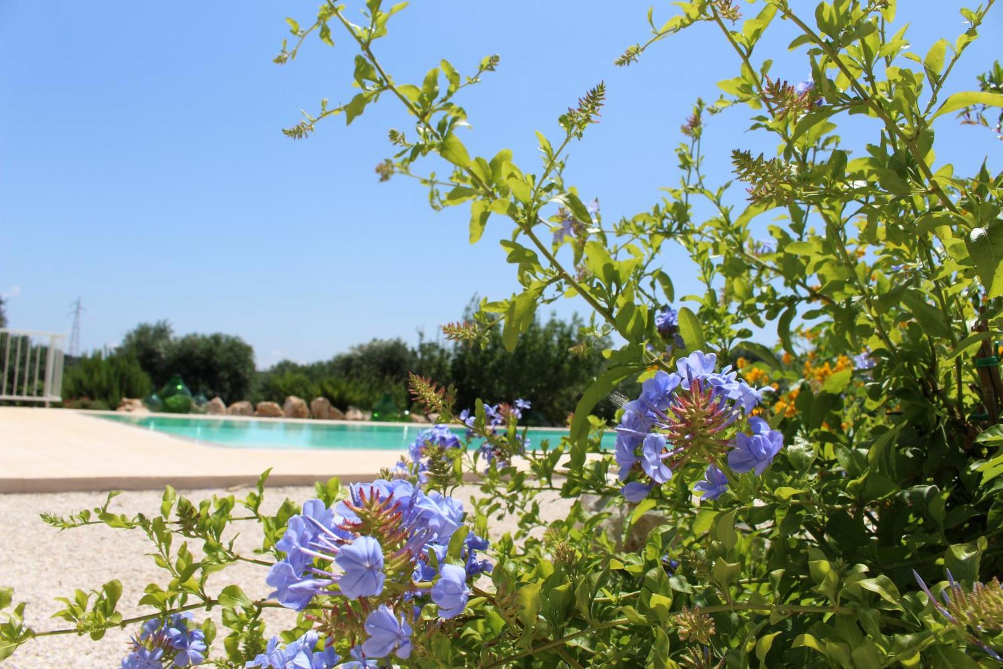 Penzion Trullo Il Melograno Ostuni Exteriér fotografie
