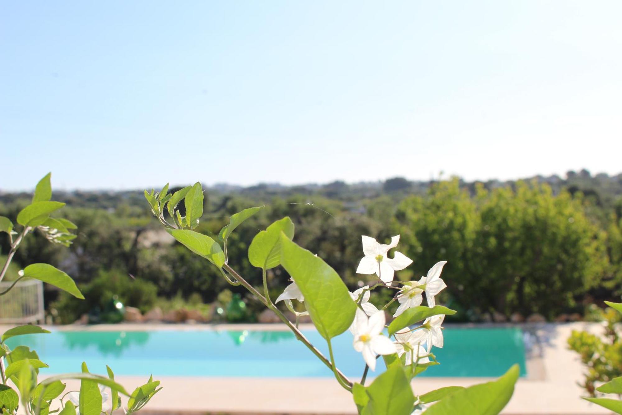 Penzion Trullo Il Melograno Ostuni Exteriér fotografie